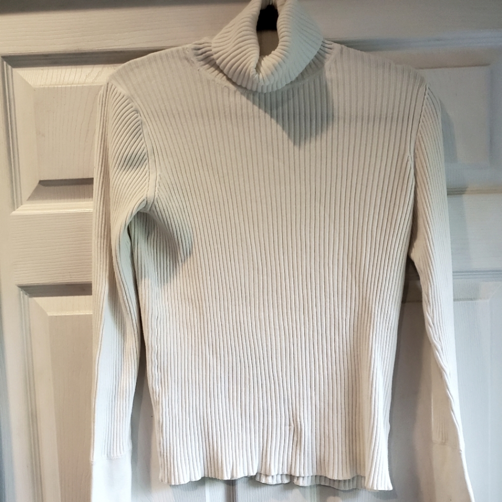 Gap ribbed turtleneck